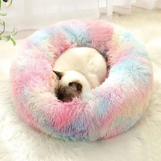 Lit pour Chat - CatLitTunnel™ Multicolore - Boutique Chat l'Heureux